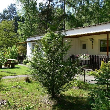 Ferienhaeuser Heideroeslein Fürstenberg-Havel Extérieur photo